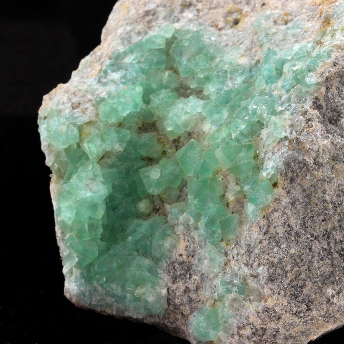 Fluorite. 1230.0 carats. El Papiol, Barcelona, Espagne