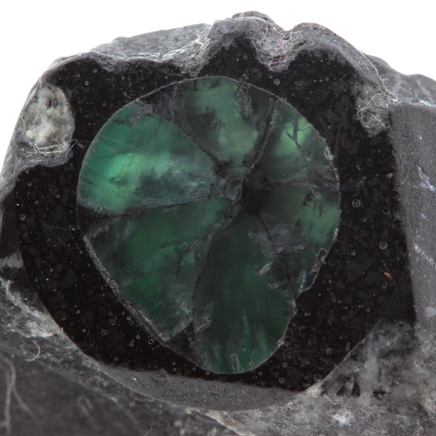 Emeraude. 33.7 carats. Muzo, Vasquez-Yacopí Mining District, Colombie