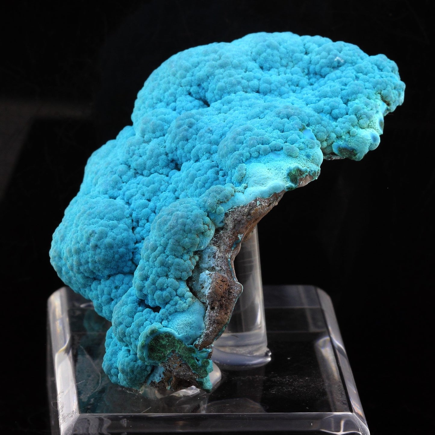 Chrysocolle. 945.0 carats. Lupoto Mine, Katanga, Congo