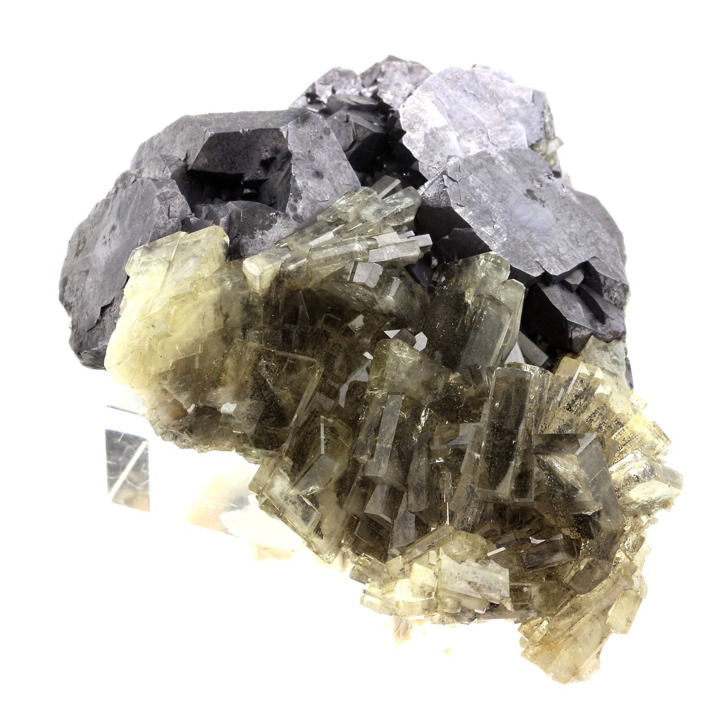 Baryte + Galène. 3984.0 carats. Oumjrane, Drâa-Tafilalet Region, Maroc