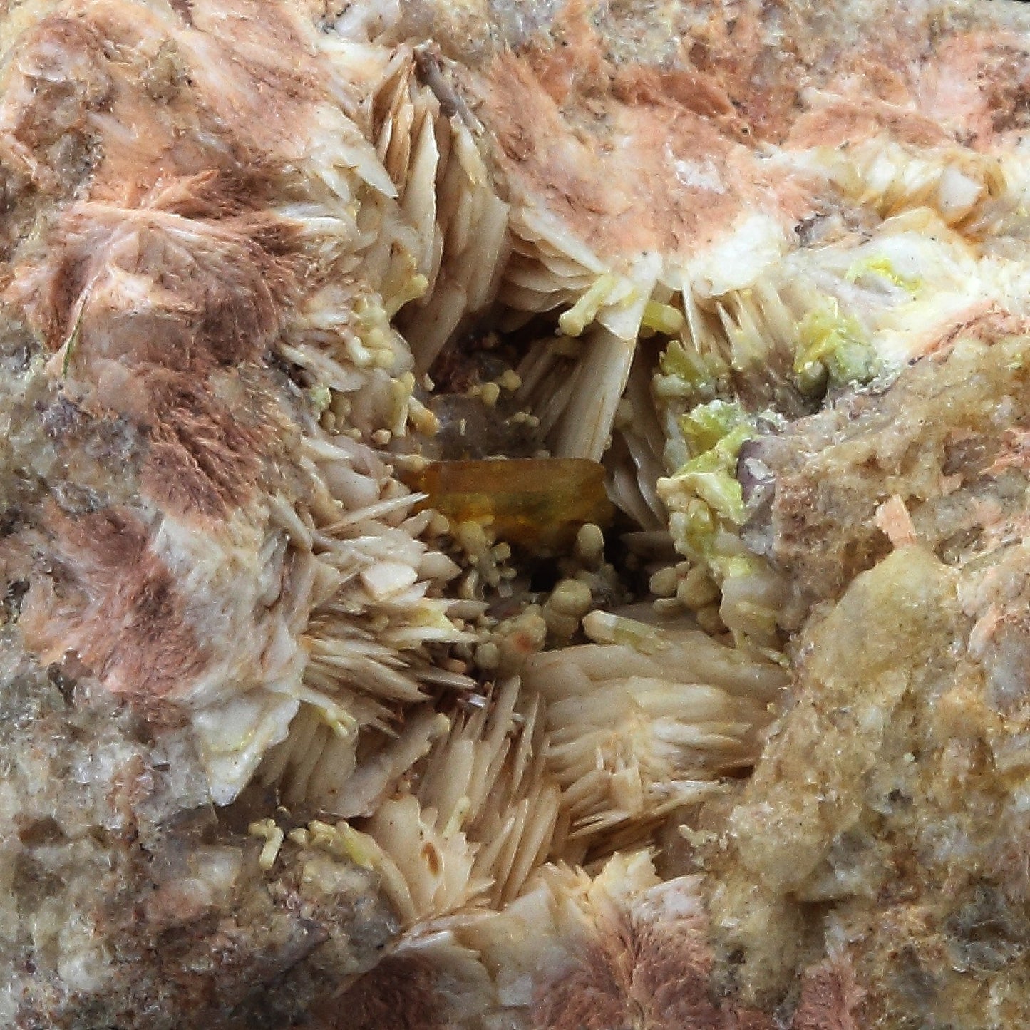 Wulfenite + Baryte. 337.3 carats. Lantignié, France