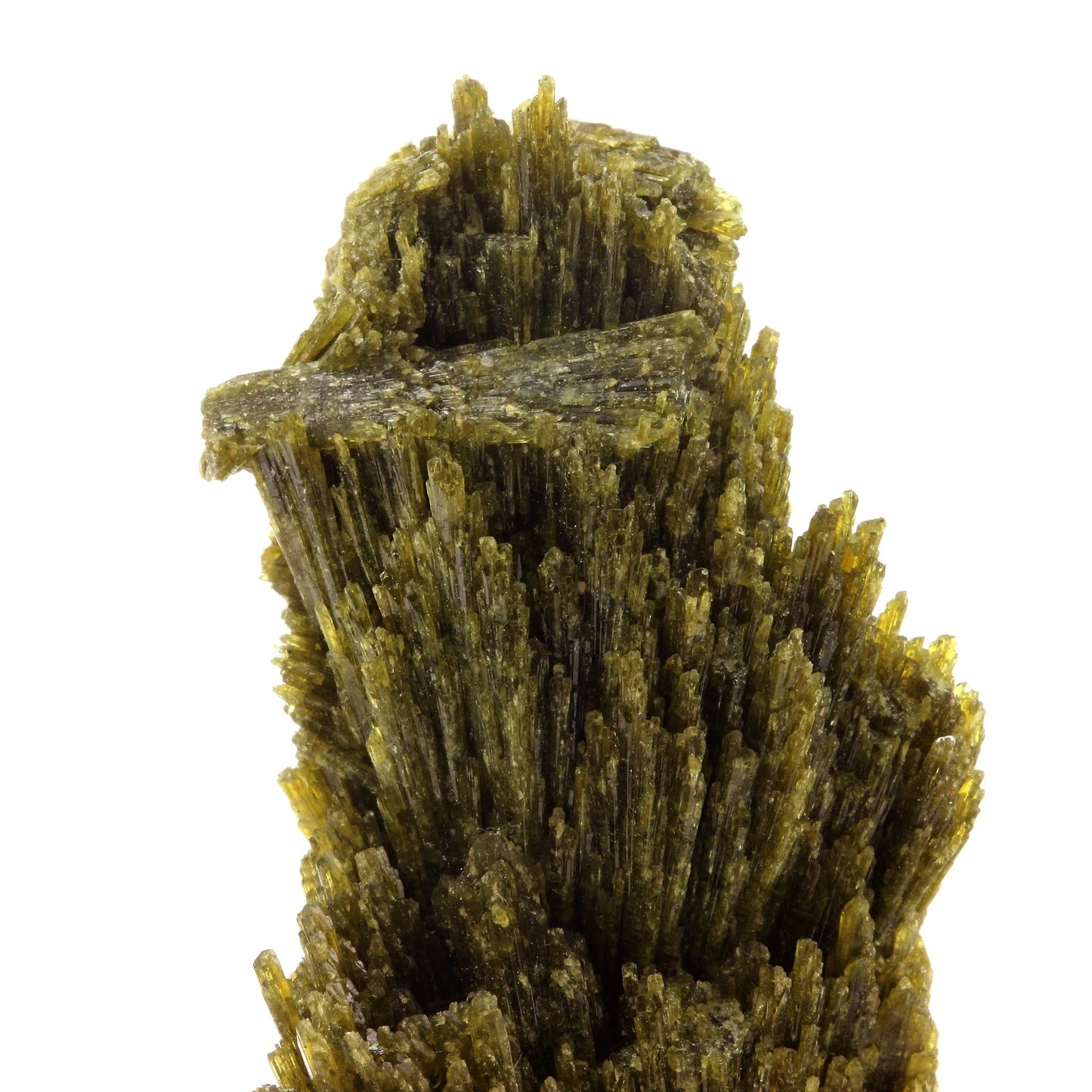 Epidote. 358.0 carats. Chamrousse, Belledonne, Isère, France