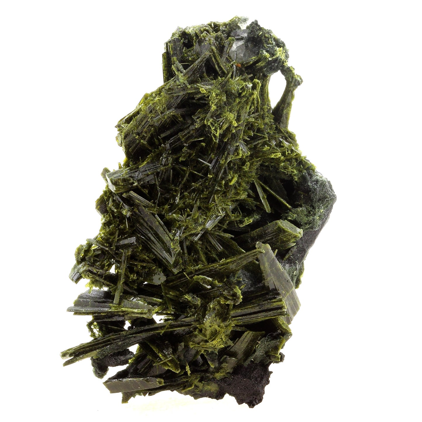 Epidote. 318.5 carats. Cornillon, Bourg d'Oisans, Isère, France