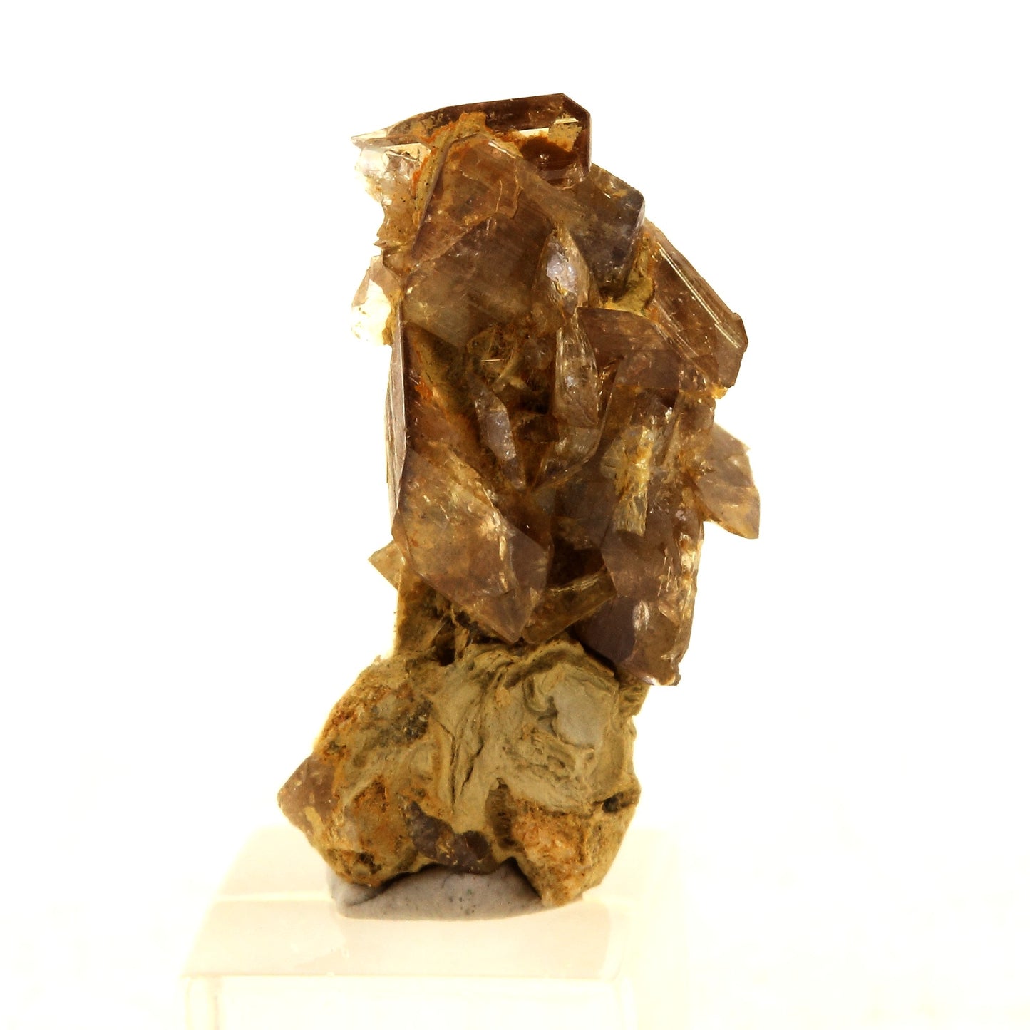 Axinite. 5.0 carats. La Balme d'Auris, Bourg d'Oisans, Isère, France
