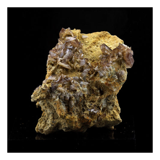 Axinite. 427.5 carats. La Balme d'Auris, Bourg d'Oisans, Isère, France