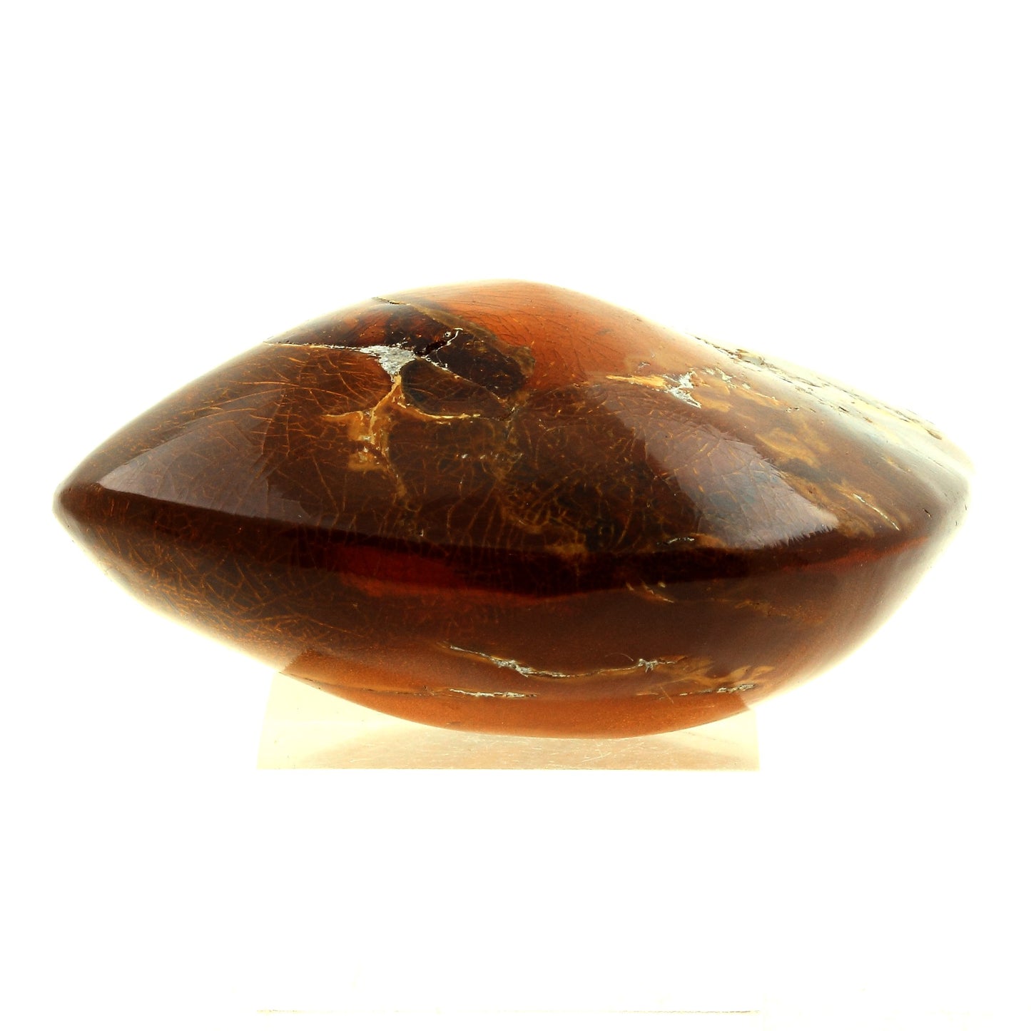 Ambre (polie). 184.0 carats. Sabana de la Mar, République dominicaine