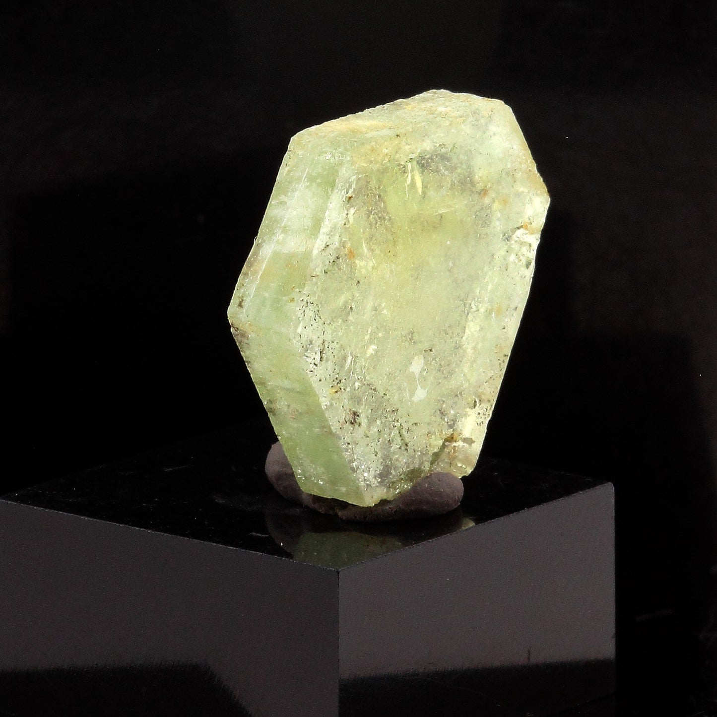 Béryl vert (tranche polie). 10.64 carats. Fitampito, Ikalamavony, Madagascar