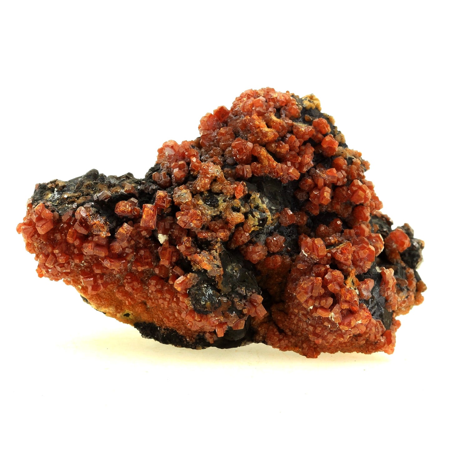 Vanadinite sur Quartz + Goethite. 694.0 carats. Taouz, Meknès-Tafilalet Region, Maroc