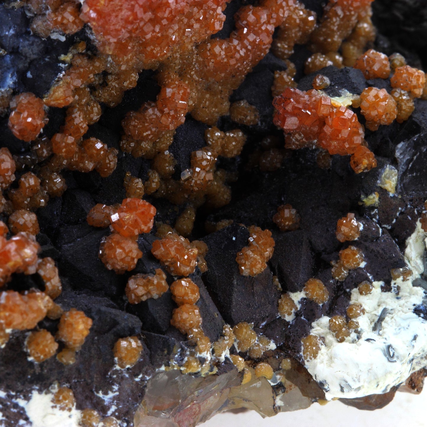 Vanadinite sur Quartz + Goethite. 694.0 carats. Taouz, Meknès-Tafilalet Region, Maroc