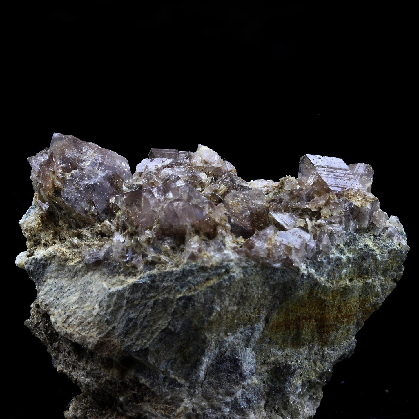 Axinite. 263.0 carats. Chamrousse, Belledonne, Isère, France