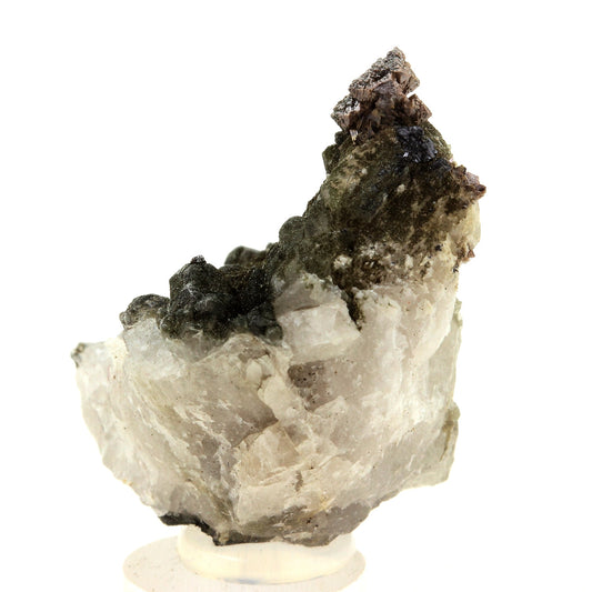 Anatase + Quartz + Chlorite. 79.0 carats. Les Rousses, Vaujany, Isère, France