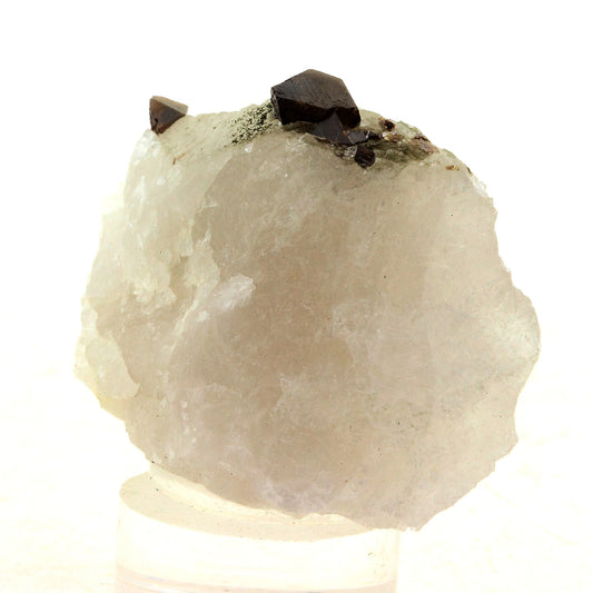 Anatase + Quartz + Chlorite. 51.0 carats. Les Rousses, Vaujany, Isère, France