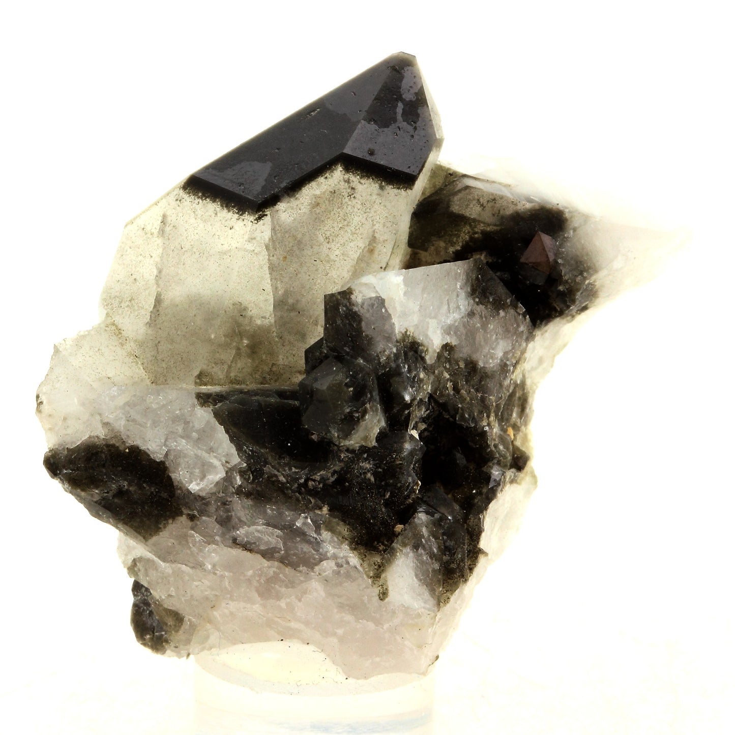 Anatase + Quartz + Chlorite. 153.0 carats. Les Rousses, Vaujany, Isère, France