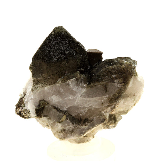 Anatase + Quartz + Chlorite. 51.0 carats. Les Rousses, Vaujany, Isère, France