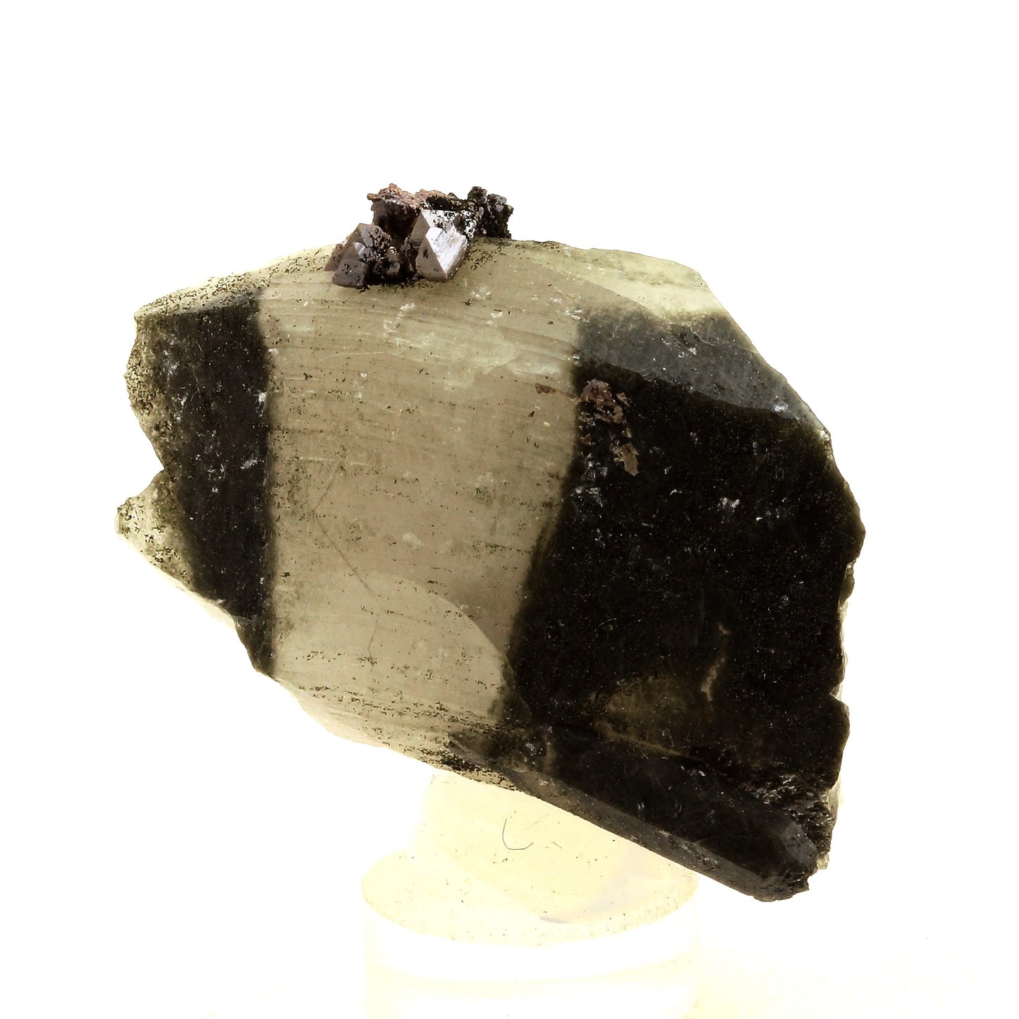 Anatase + Quartz + Chlorite. 103.0 carats. Les Rousses, Vaujany, Isère, France
