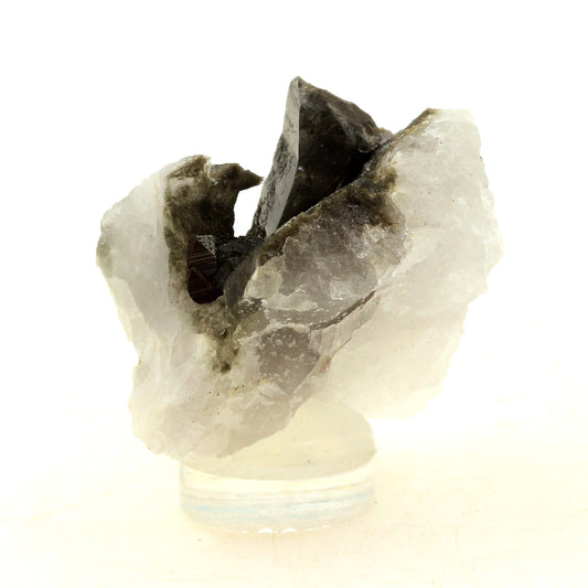 Anatase + Quartz + Chlorite. 94.0 carats. Les Rousses, Vaujany, Isère, France