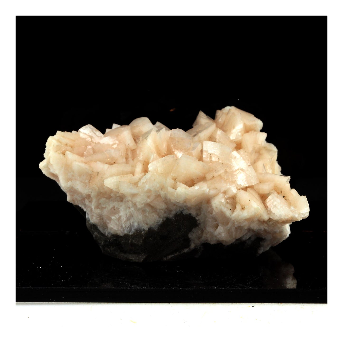 Dolomite. 558.0 carats. Croix-de-Pallières, Saint-Félix-de-Pallières, France