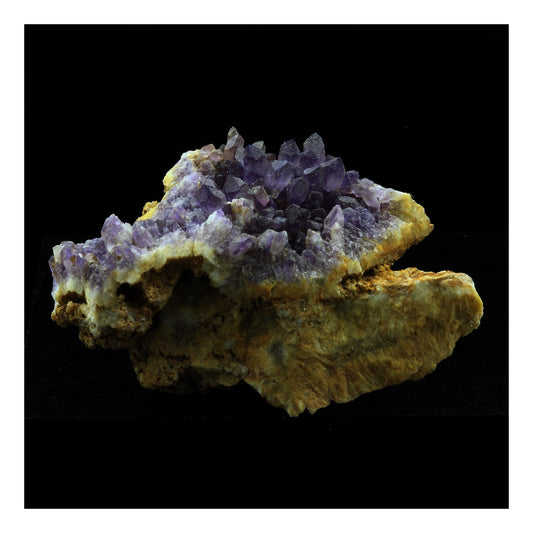 Améthyste. 59.0 carats. Cunlhat, Puy-de-Dôme, Auvergne-Rhône-Alpes, France