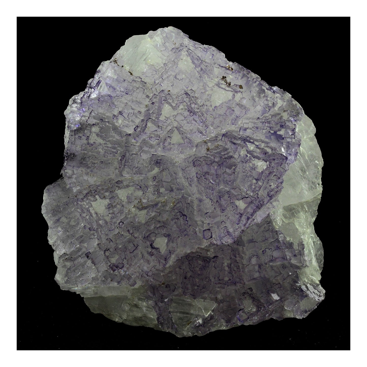 Fluorite. 8597.0 carats. Tule Mine, Melchor Múzquiz, Coahuila, Mexique