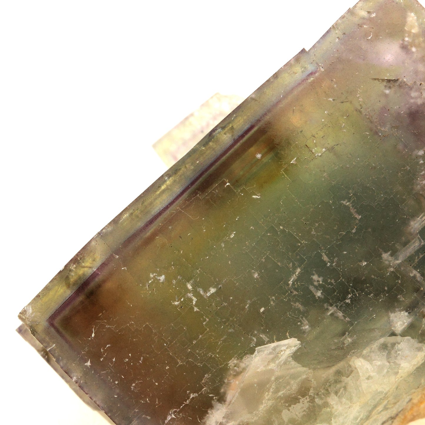 Fluorite. 538.0 carats. Mine d'Avellan, Var, France