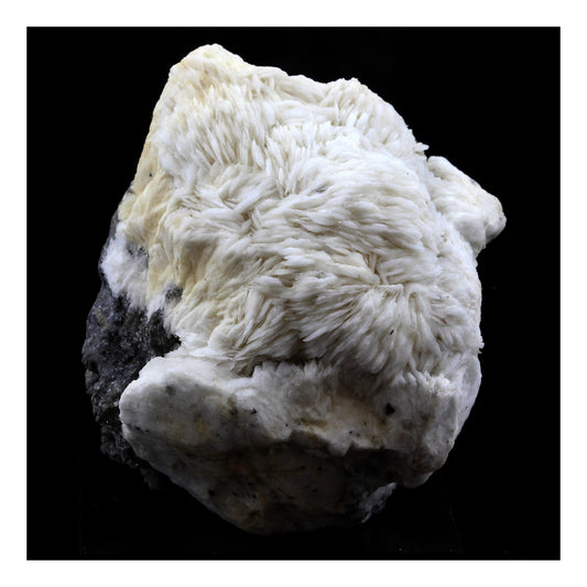 Baryte + Sphalerite. 1761.0 carats. Les Malines, Saint-Laurent-le-Minier, Occitanie, France
