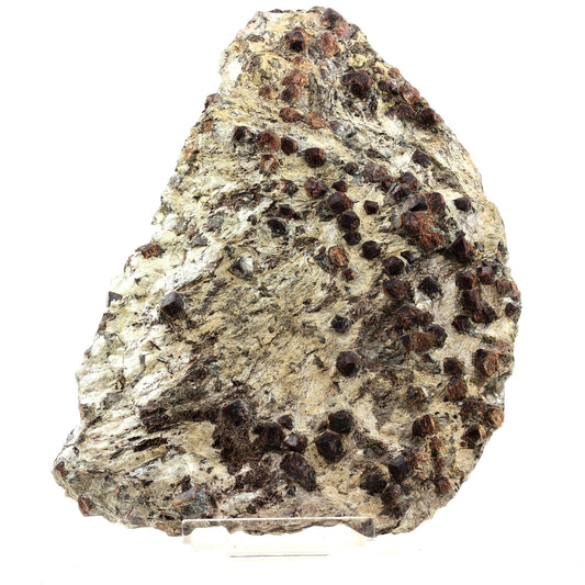 Grenat Almandin + Micaschiste. 6228.5 carats. Otz valley, Tyrol, Autriche