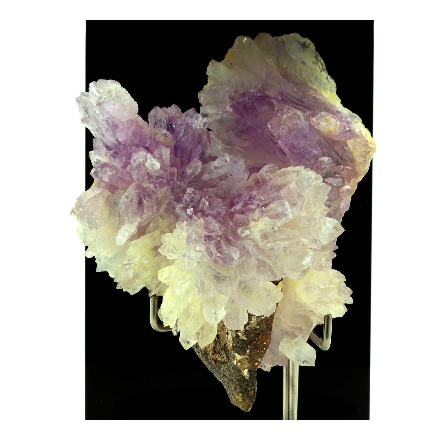 Quartz Améthyste. 1557.0 carats. Iraí, Rio Grande do Sul, Brésil