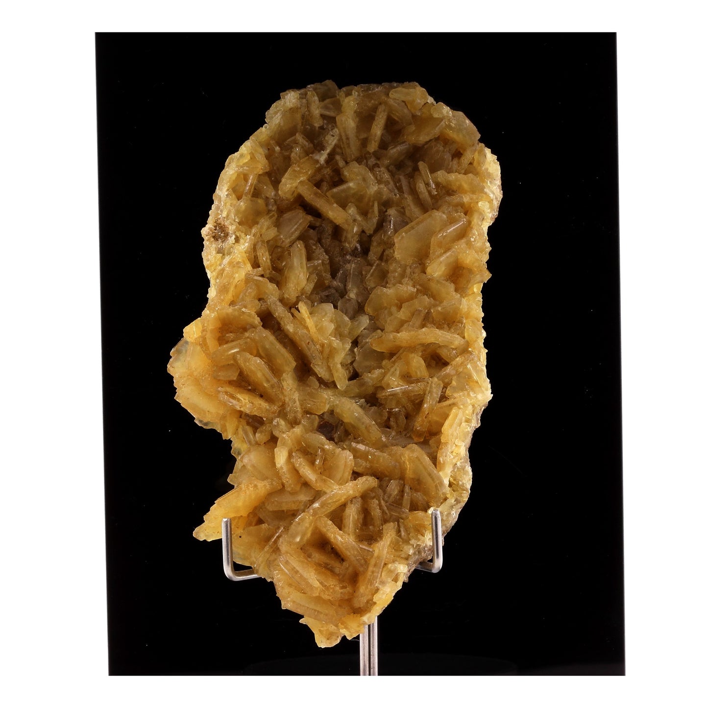 Baryte. 774.0 carats. St George les Bains, Ardèche, France