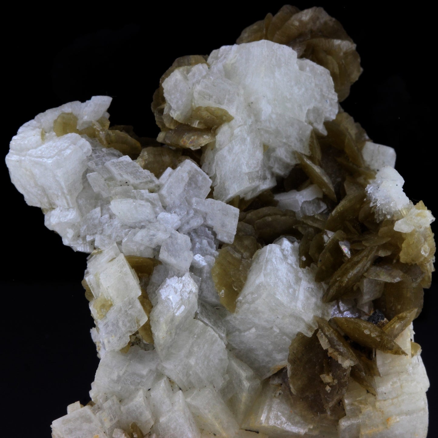 Dolomite + Siderite. 227.0 carats. La mure, Isère, France