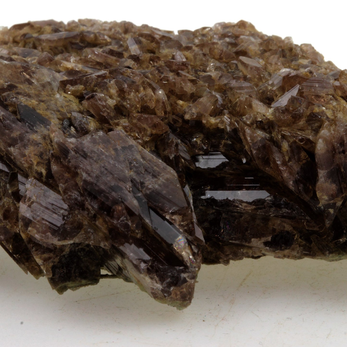 Axinite. 821.50 carats. Chamrousse, Belledonne, Isère, France