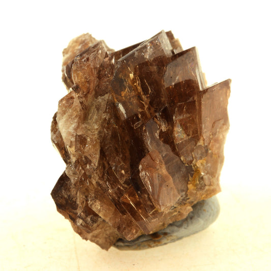 Axinite. 115.0 carats. Chamrousse, Isère, France