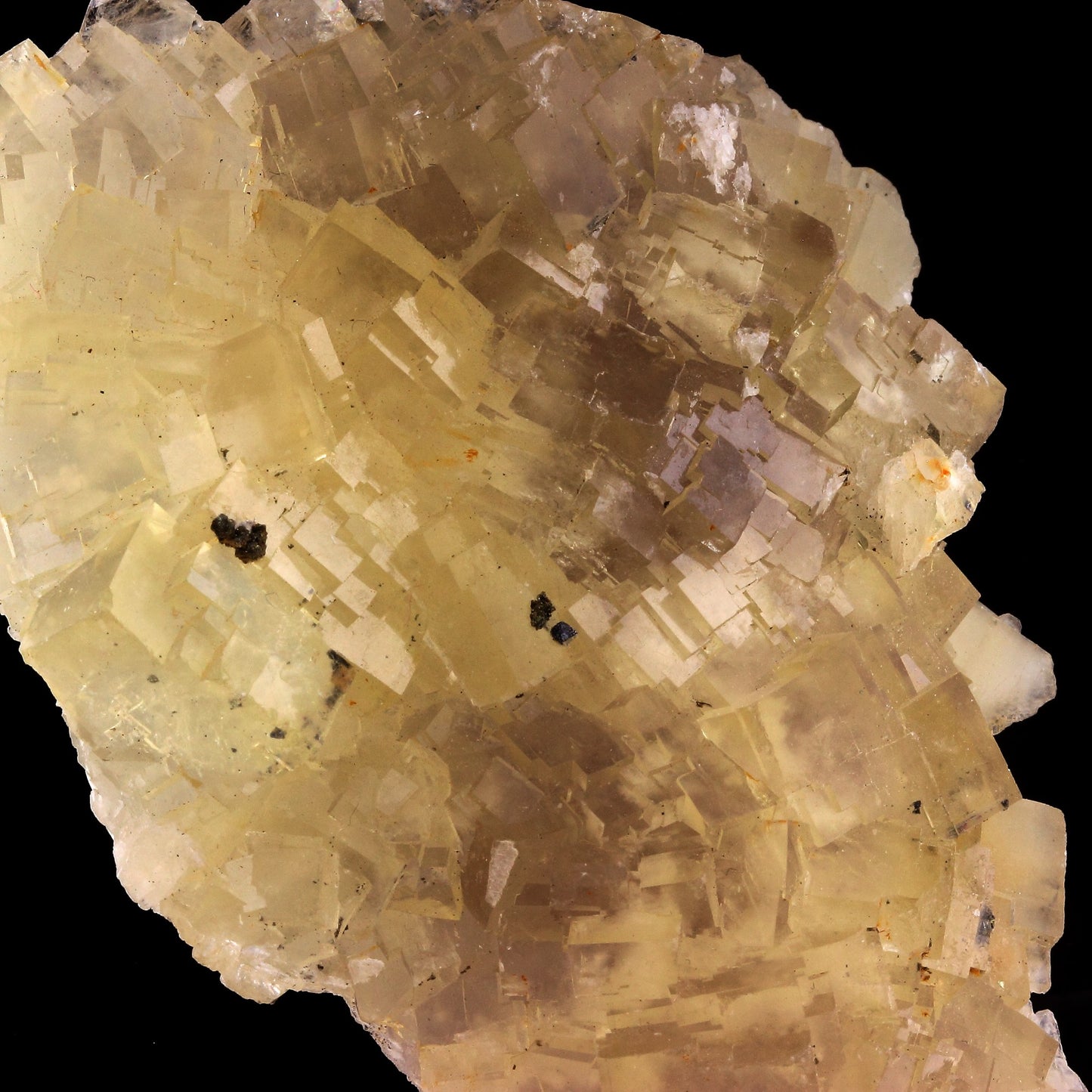 Fluorite + Pyrite + Galène. 1145.20 carats. Fontsante Mine, Var, France