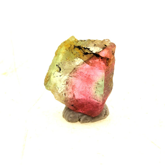 Tourmaline melon d'eau (tranche). 1.95 carats. En provenance de Paprok, Nuristan, Afghanistan