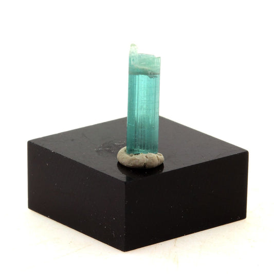 Tourmaline Indicolite. 1.56 carats. En provenance de Dara-e-Pech pegmatite field, Dara-e-Pech District, Kunar, Afghanistan