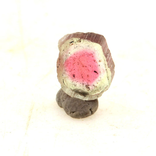 Tourmaline melon d'eau (tranche). 1.37 carats. En provenance de Paprok, Nuristan, Afghanistan