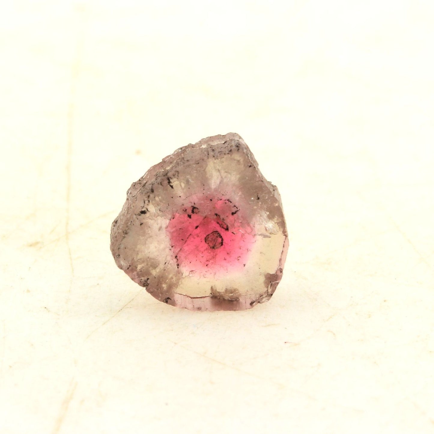 Tourmaline melon d'eau (tranche). 1.48 carats. En provenance de Paprok, Nuristan, Afghanistan